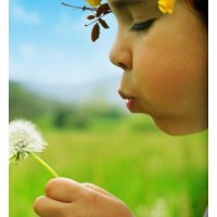 А каким воздухом дышите Вы? Приточные системы вентиляции.