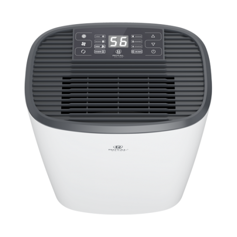 Осушитель воздуха Royal Clima серии CARISMA Loft RD-CR20-E
