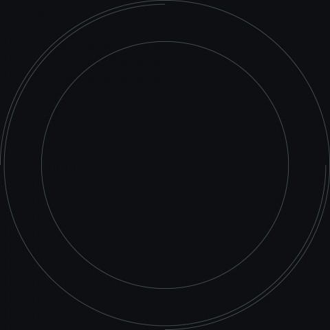 Электрическая  варочная панель Indesit RI 360 C